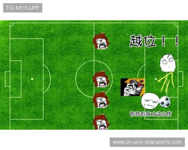 球队阵容调整及比赛策略深度解析，球队分配