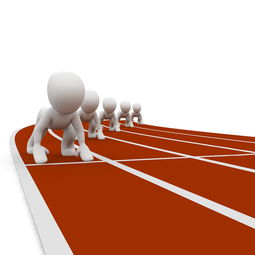 星空·综合体育-城市体育生活馆实施“体验+学习”推广项目快速落地